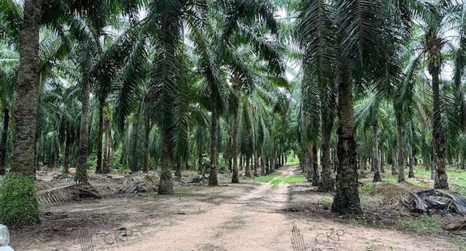 For sale land in Lamae, Chumphon