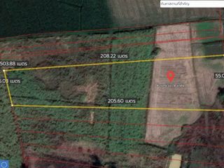 For sale land in Na Wang, Nong Bua Lamphu