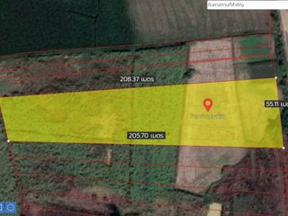 For sale land in Na Wang, Nong Bua Lamphu