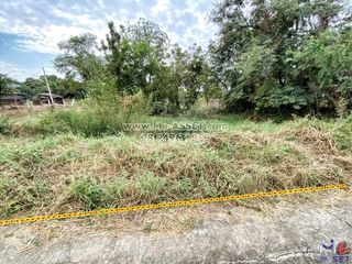 For sale land in Sak Lek, Phichit