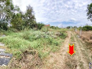 For sale land in Sak Lek, Phichit