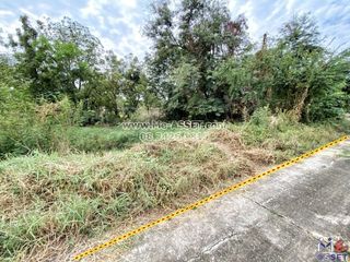 For sale land in Sak Lek, Phichit