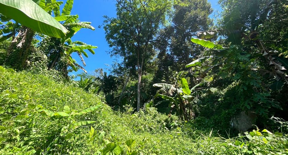À vendre terrain à Mueang Phuket, Phuket