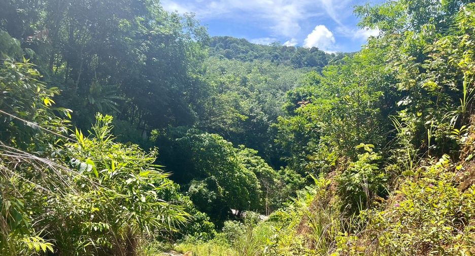 À vendre terrain à Mueang Phuket, Phuket