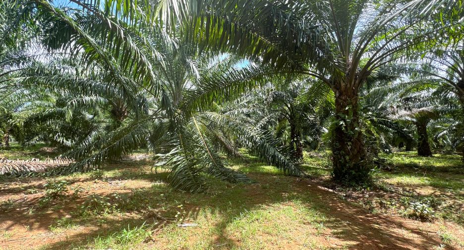 À vendre terrain à Mueang Krabi, Krabi
