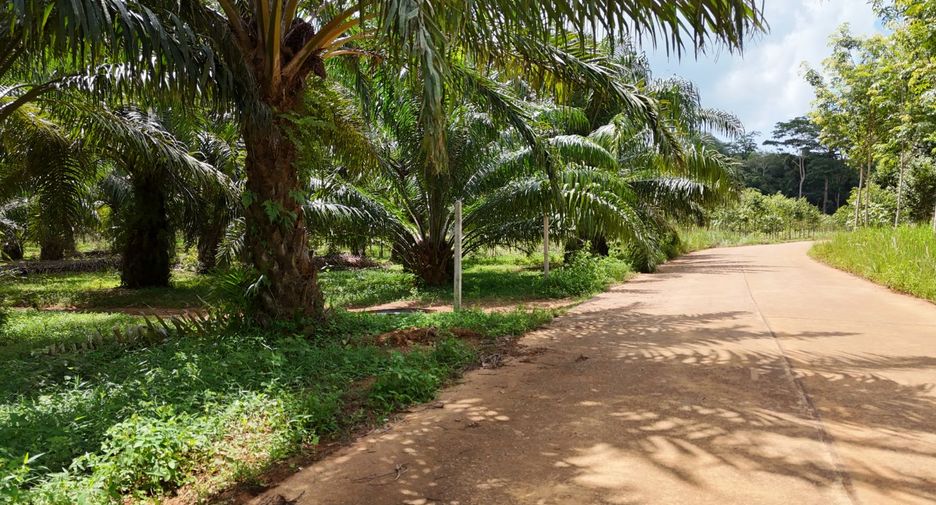 À vendre terrain à Mueang Krabi, Krabi