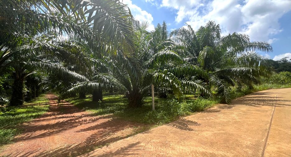 À vendre terrain à Mueang Krabi, Krabi