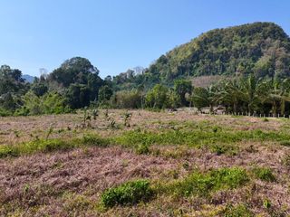 For sale land in Mueang Krabi, Krabi