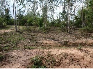 For sale land in Mueang Chaiyaphum, Chaiyaphum