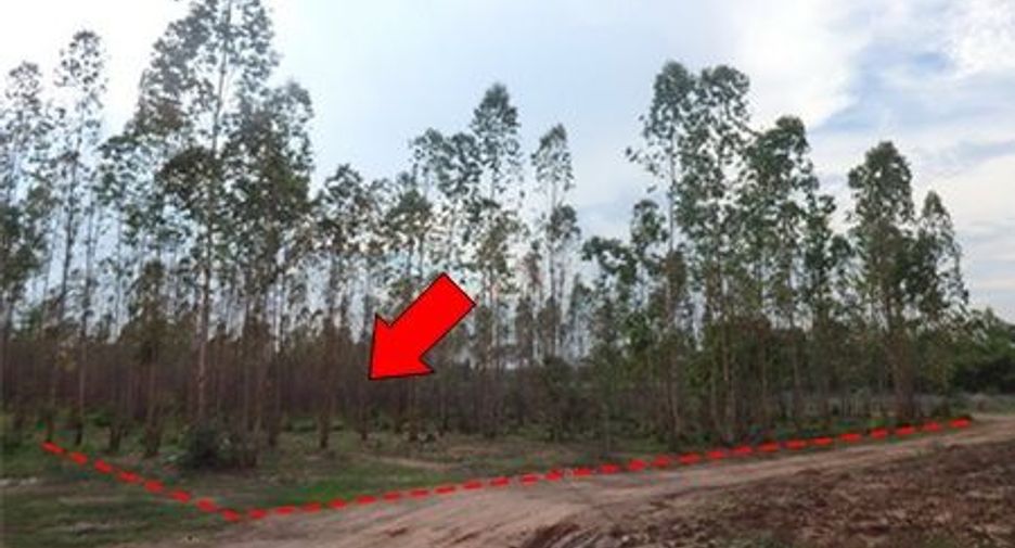For sale land in Mueang Chaiyaphum, Chaiyaphum