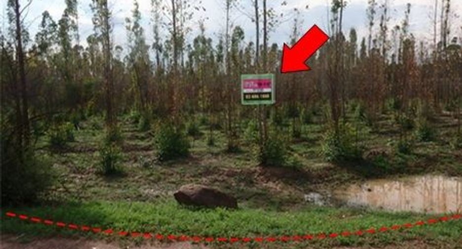 For sale land in Mueang Chaiyaphum, Chaiyaphum