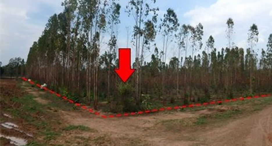 For sale land in Mueang Chaiyaphum, Chaiyaphum