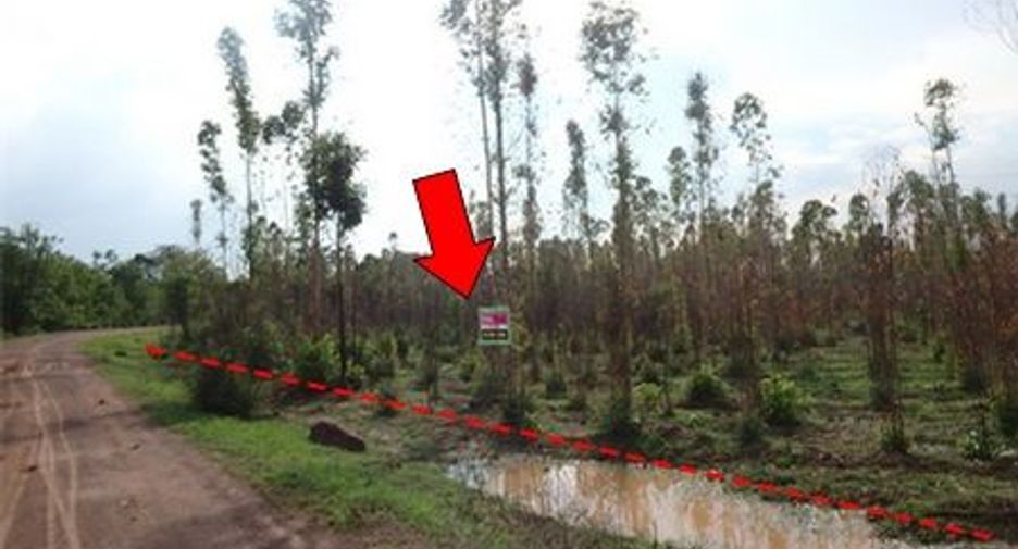 For sale land in Mueang Chaiyaphum, Chaiyaphum