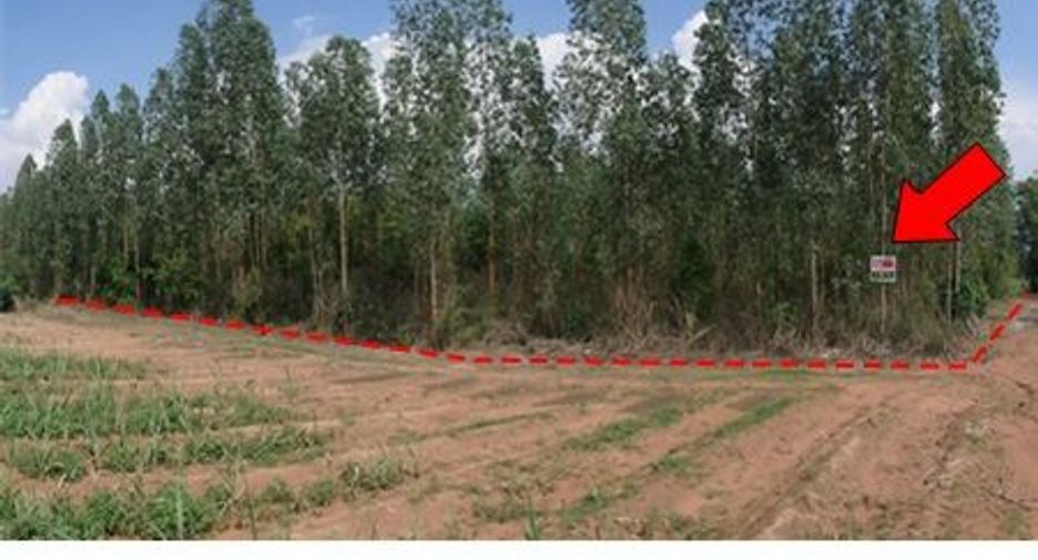 For sale land in Mueang Chaiyaphum, Chaiyaphum