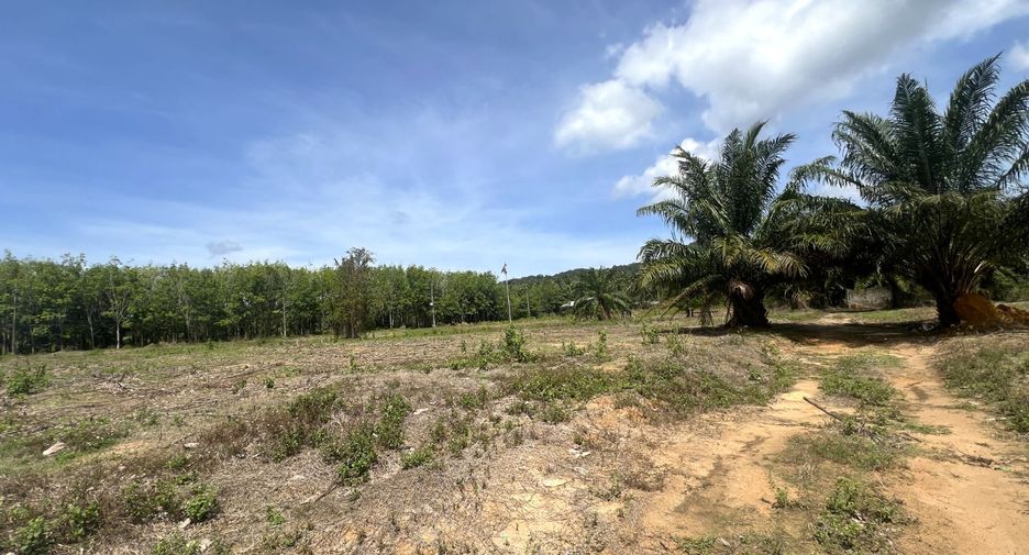 ขาย ที่ดิน ใน เมืองกระบี่, กระบี่