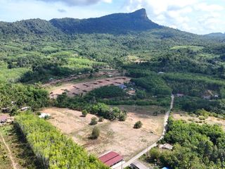 ขาย ที่ดิน ใน เมืองกระบี่, กระบี่