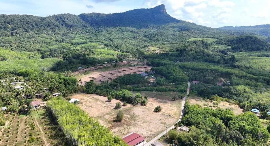 ขาย ที่ดิน ใน เมืองกระบี่, กระบี่