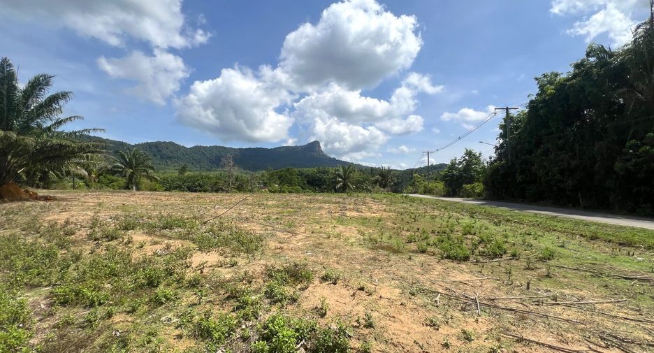 ขาย ที่ดิน ใน เมืองกระบี่, กระบี่