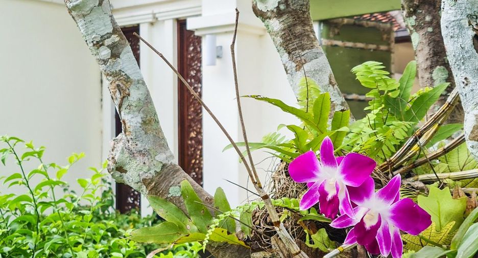 For rent 7 bedrooms villa in Thalang, Phuket