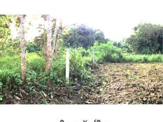 À vendre terrain à Li, Lamphun