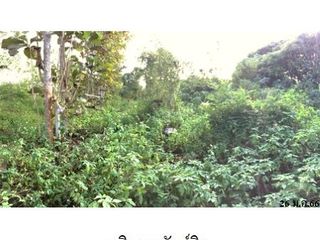 À vendre terrain à Li, Lamphun
