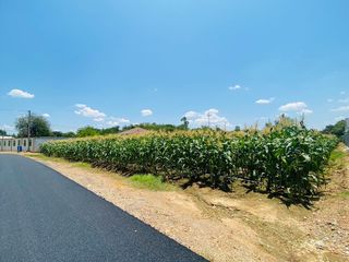 For sale land in Mueang Kanchanaburi, Kanchanaburi