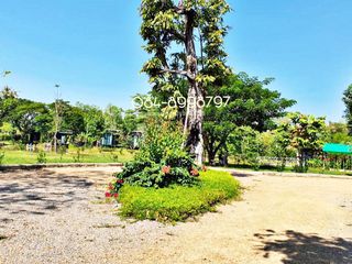 ขาย ที่ดิน ใน เมืองลำปาง, ลำปาง