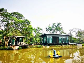 ขาย ที่ดิน ใน เมืองลำปาง, ลำปาง