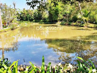 ขาย ที่ดิน ใน เมืองลำปาง, ลำปาง