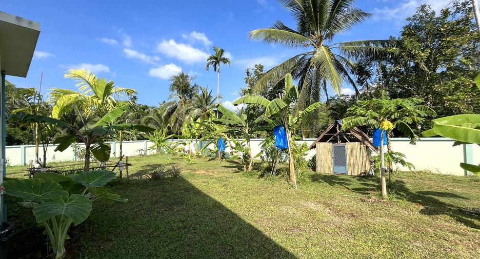 For sale 2 bedrooms house in Takua Thung, Phang Nga