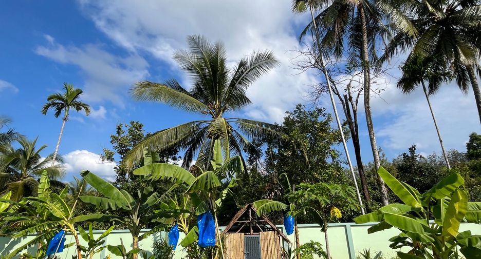 For sale 2 bedrooms house in Takua Thung, Phang Nga