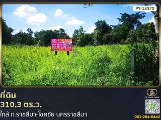 For sale land in Chok Chai, Nakhon Ratchasima