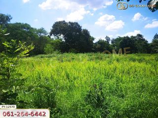 For sale land in Chok Chai, Nakhon Ratchasima