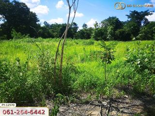 For sale land in Chok Chai, Nakhon Ratchasima