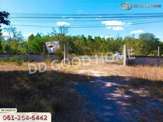 For sale land in Bua Yai, Nakhon Ratchasima