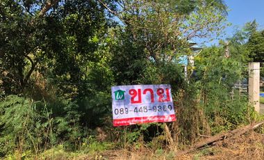 For sale land in Sam Khok, Pathum Thani
