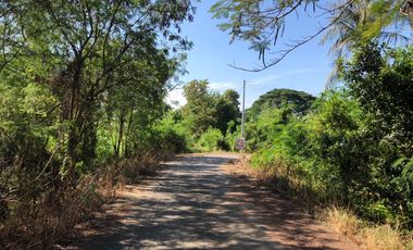 For sale land in Sam Khok, Pathum Thani
