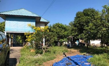 For sale land in Sam Khok, Pathum Thani