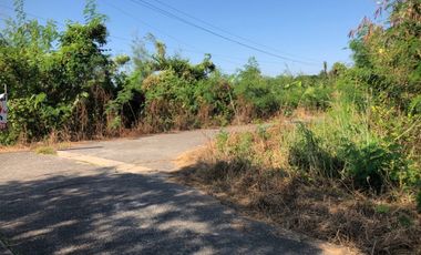 For sale land in Sam Khok, Pathum Thani