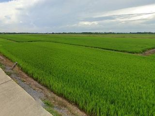 For sale land in Bang Sai, Phra Nakhon Si Ayutthaya