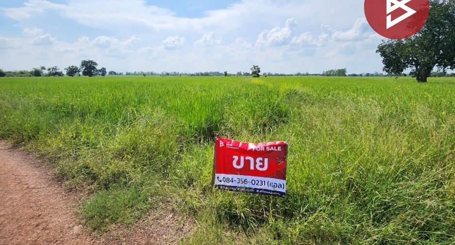 For sale land in Si Thep, Phetchabun