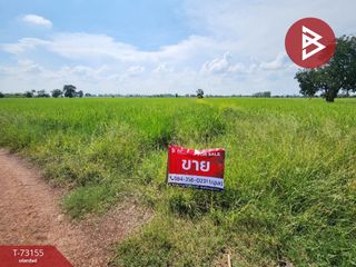 For sale studio land in Si Thep, Phetchabun