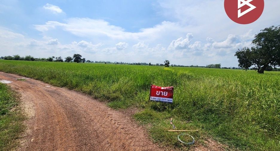 For sale land in Si Thep, Phetchabun
