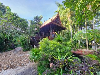 For rent and for sale 2 bed house in Takua Thung, Phang Nga