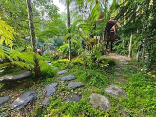For rent and for sale 2 bed house in Takua Thung, Phang Nga