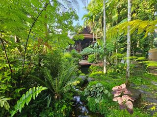 For rent and for sale 2 bed house in Takua Thung, Phang Nga