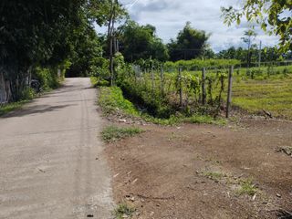 ขาย ที่ดิน ใน บ้านธิ, ลำพูน