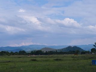 ขาย ที่ดิน ใน บ้านธิ, ลำพูน