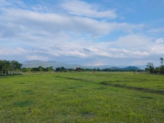 ขาย ที่ดิน ใน บ้านธิ, ลำพูน