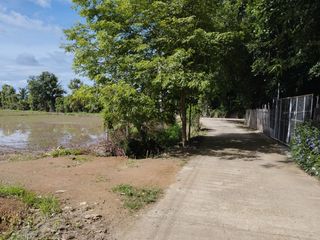 ขาย ที่ดิน ใน บ้านธิ, ลำพูน